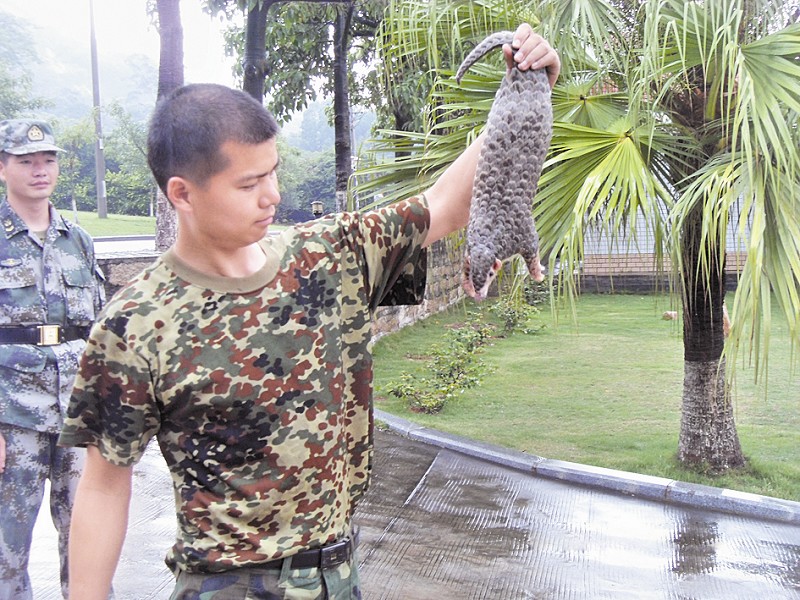 安检机厂家为野生动物保护立下汗马功劳